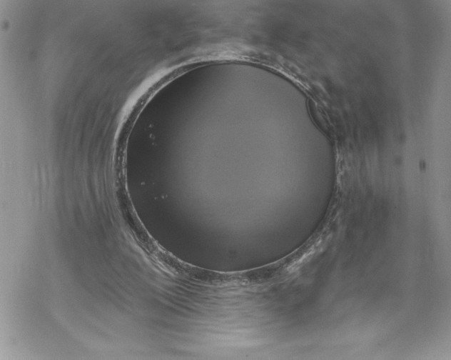 X0000069380200200606021615