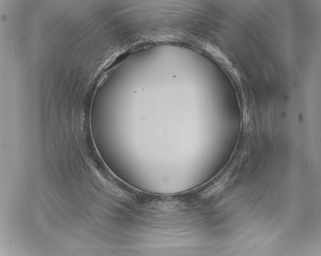 X0000069380201200606021615