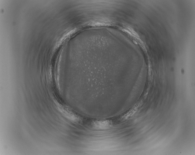 X0000069380202200606021615