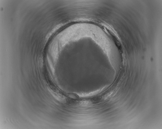 X0000069380204200606021615