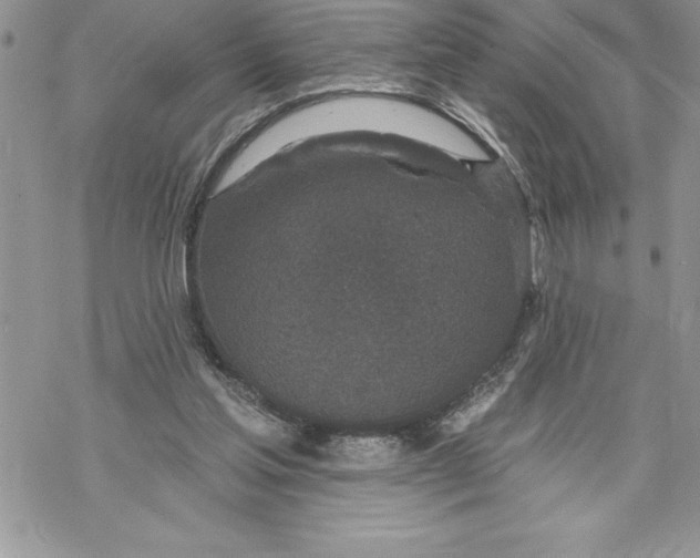 X0000069380205200606021615