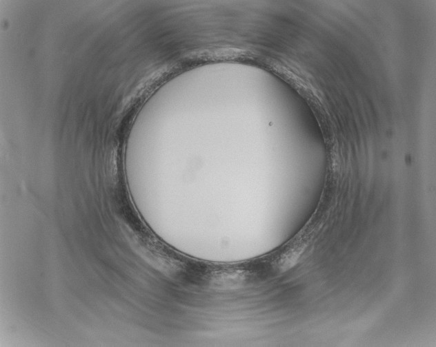 X0000069380206200606021615