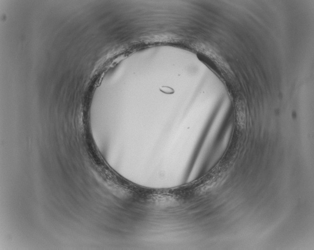 X0000069380207200606021615