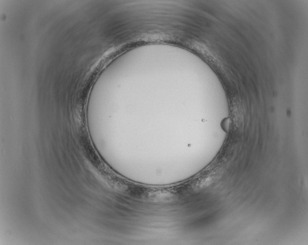 X0000069380208200606021615