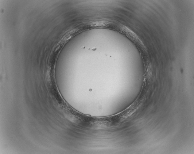 X0000069380209200606021615