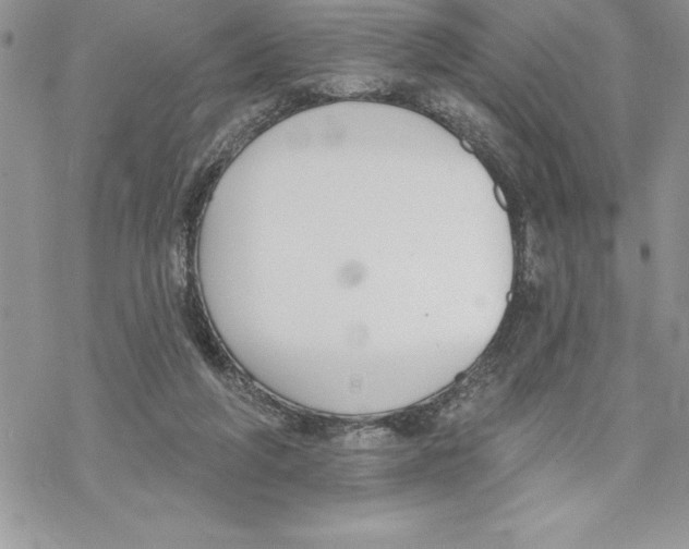 X0000069380210200606021615