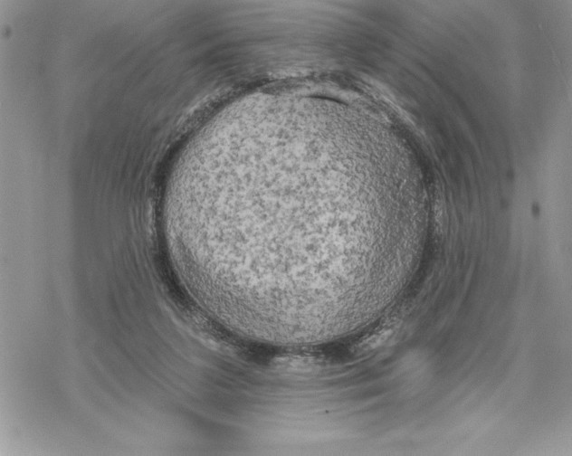 X0000069380211200606021615