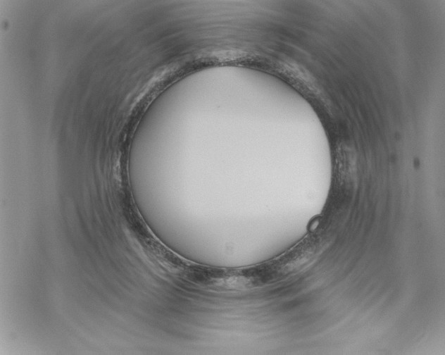 X0000069380212200606021615