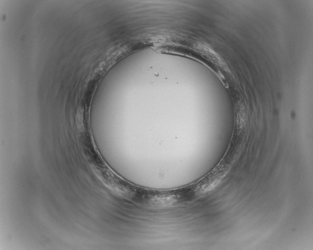 X0000069380213200606021615