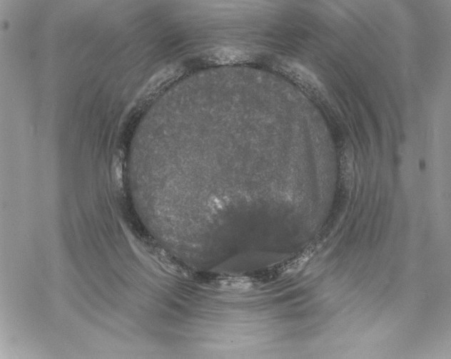 X0000069380214200606021615