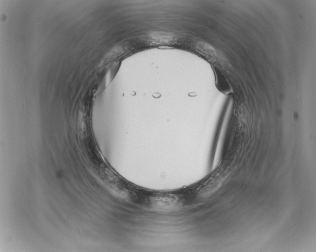 X0000069380215200606021615