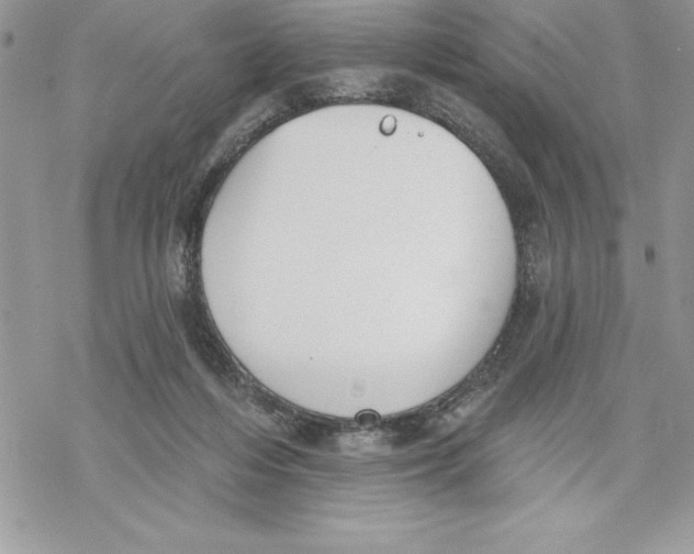 X0000069380216200606021615