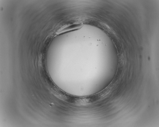 X0000069380217200606021615