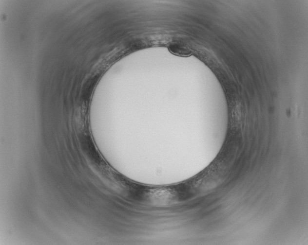 X0000069380218200606021615