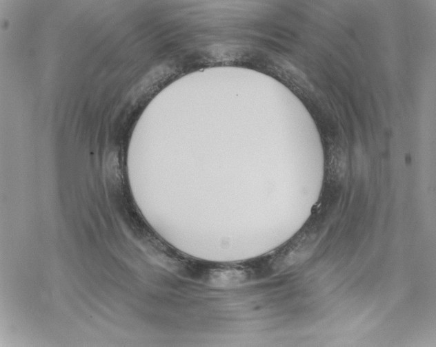 X0000069380220200606021615