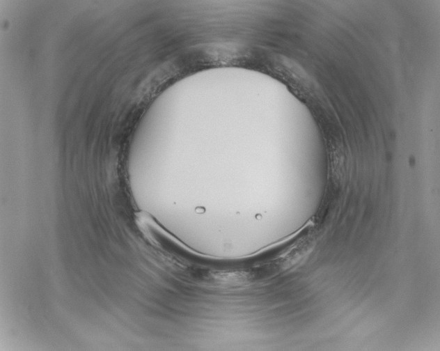 X0000069380221200606021615