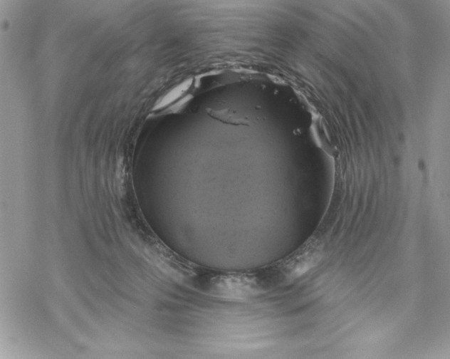 X0000069380223200606021615