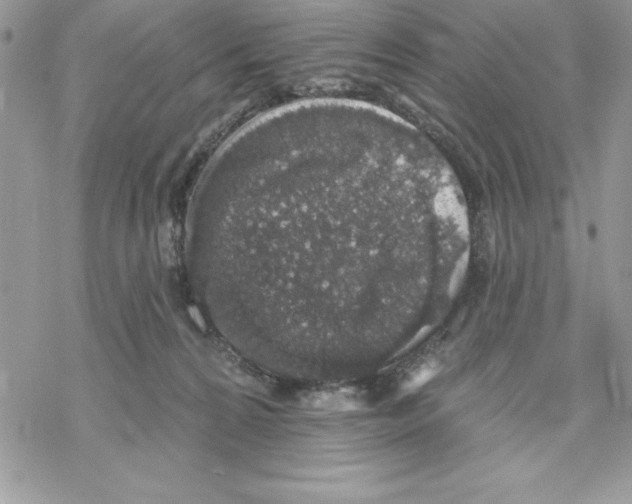 X0000069380224200606021615