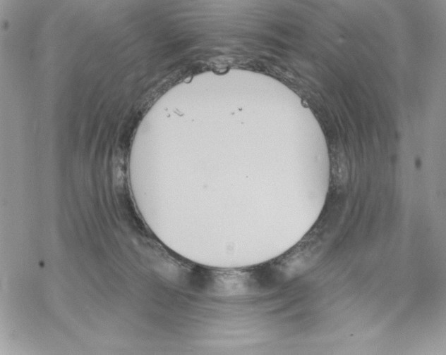 X0000069380226200606021615