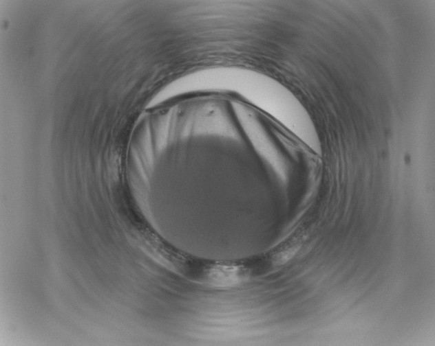 X0000069380227200606021615