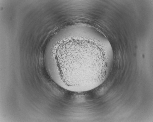 X0000069380228200606021615