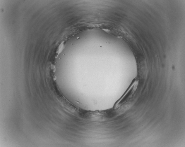 X0000069380229200606021615