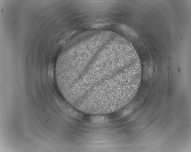 X0000069380230200606021615