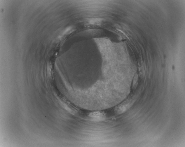 X0000069380231200606021615