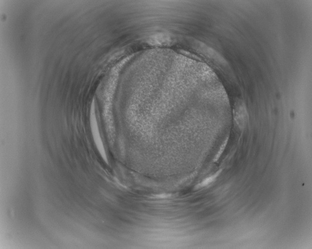 X0000069380233200606021615