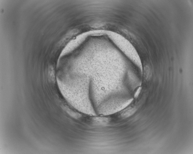 X0000069380234200606021615