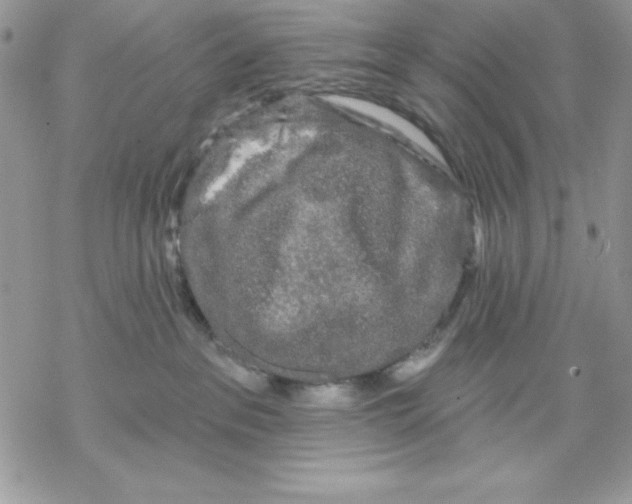 X0000069380237200606021615