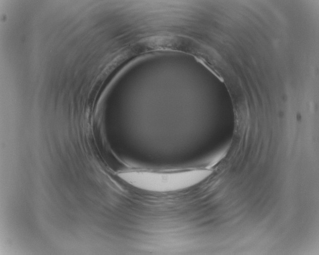 X0000069380239200606021615