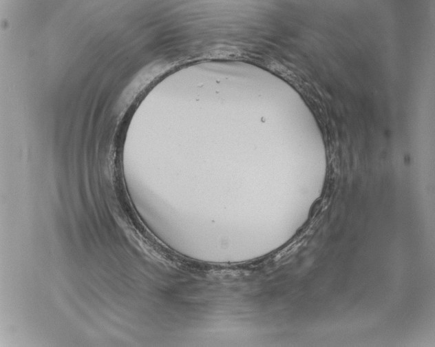 X0000069380242200606021614