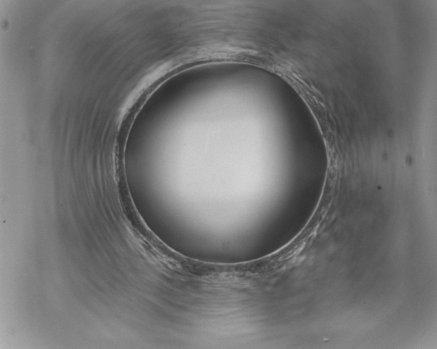 X0000069380244200606021614