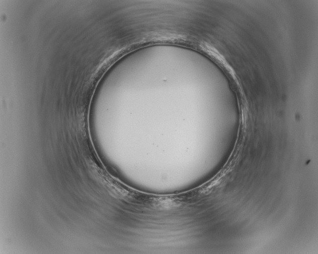 X0000069380249200606021614