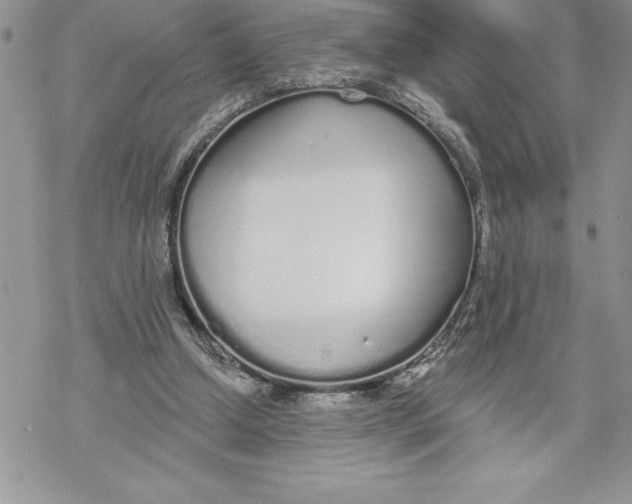 X0000069380250200606021614