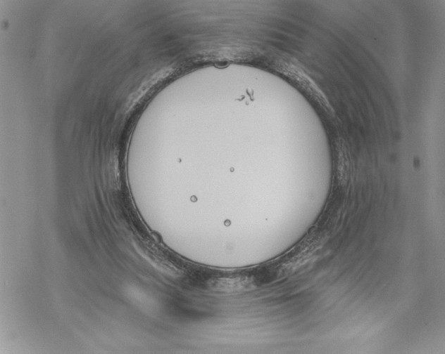 X0000069380251200606021614