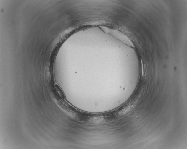 X0000069380252200606021614