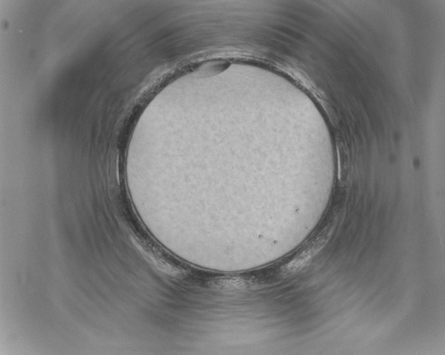 X0000069380253200606021614