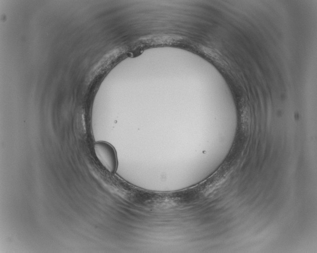 X0000069380254200606021614