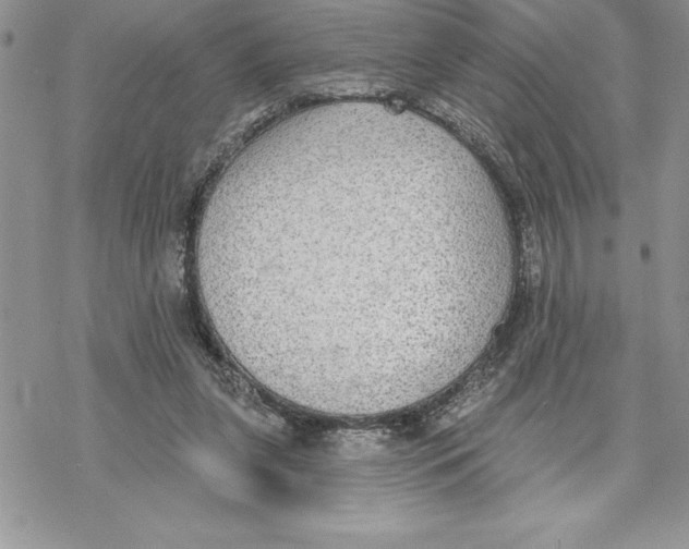 X0000069380255200606021614