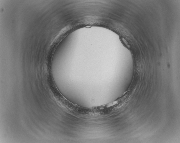 X0000069380256200606021614