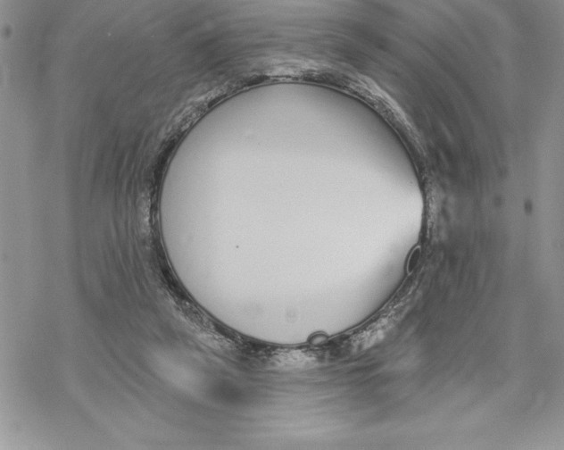 X0000069380257200606021614