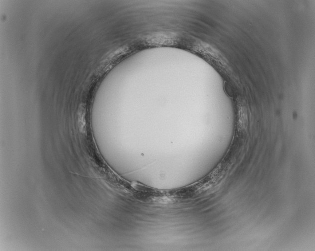 X0000069380259200606021614