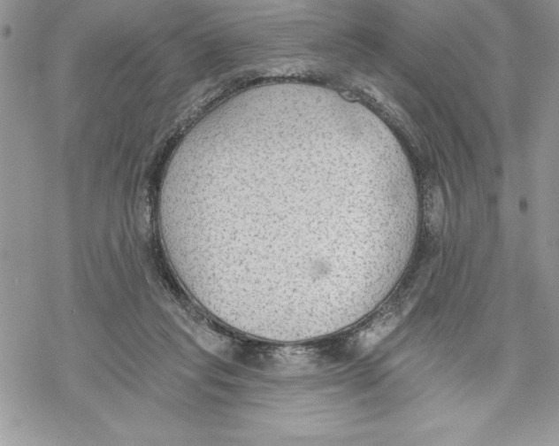 X0000069380261200606021614