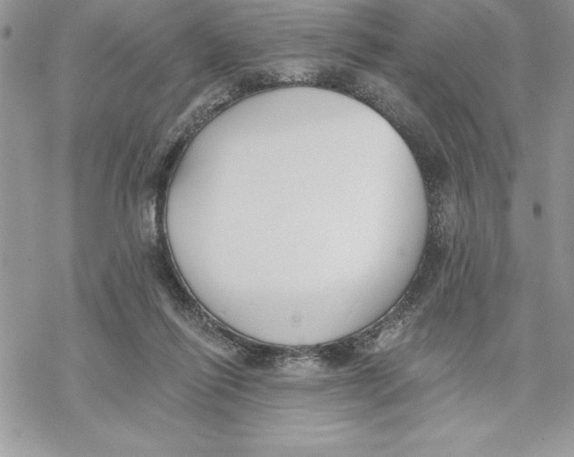 X0000069380262200606021614