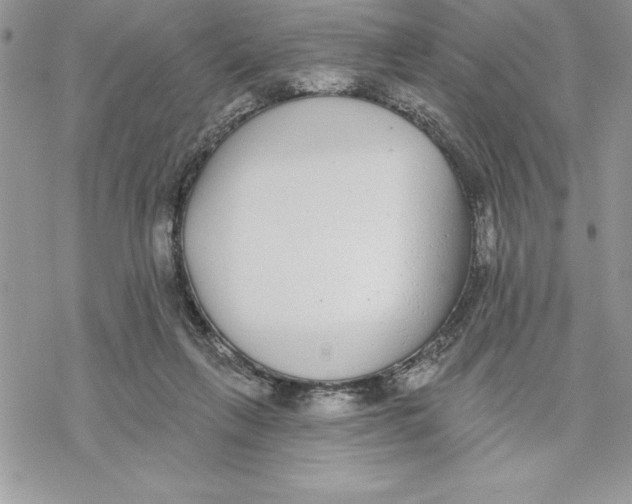 X0000069380263200606021614