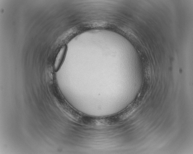 X0000069380264200606021614