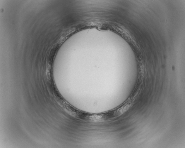 X0000069380265200606021614