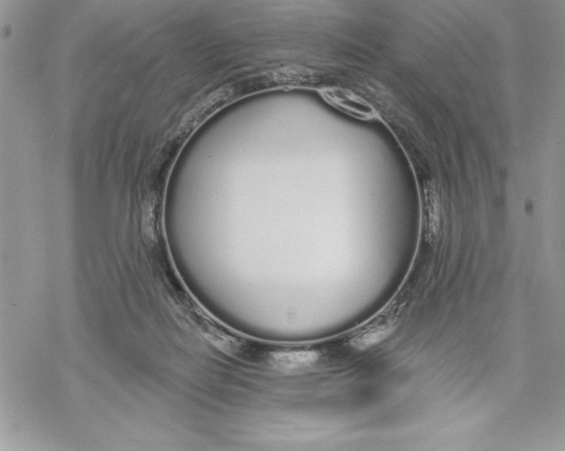 X0000069380266200606021614